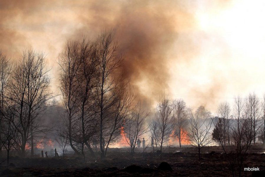 ZAGÓRZE. Groźny pożar wskutek wypalania traw
