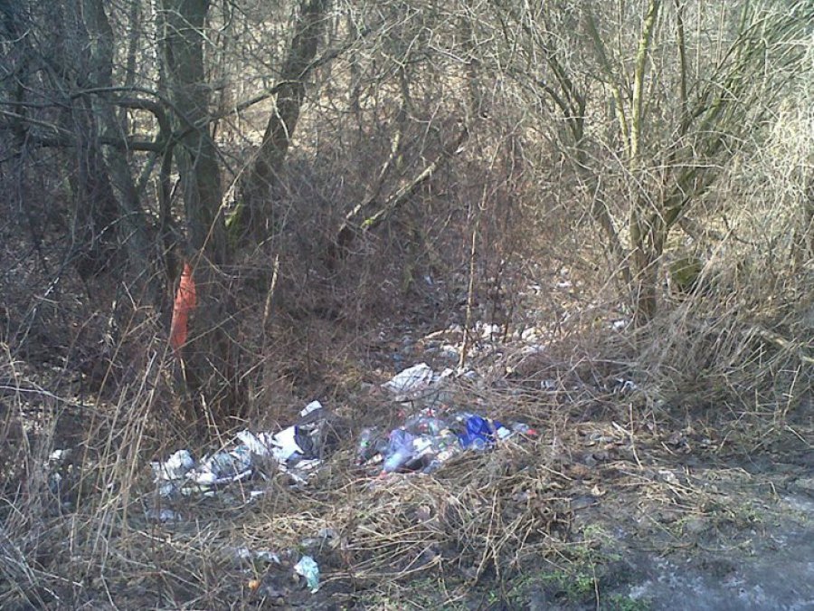 Śmieci w gminie Babice