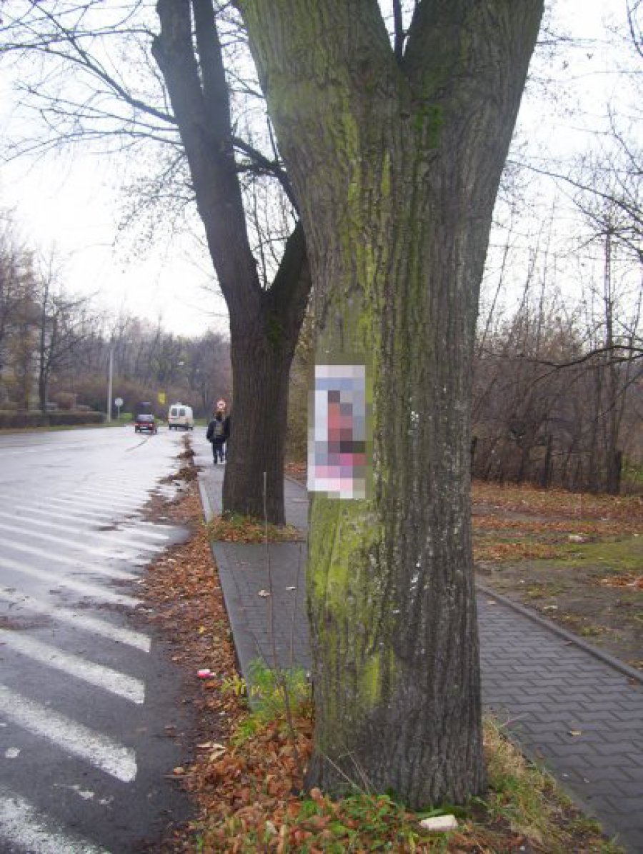 CHRZANÓW. Plakaty wyborcze zaśmiecają miasto 