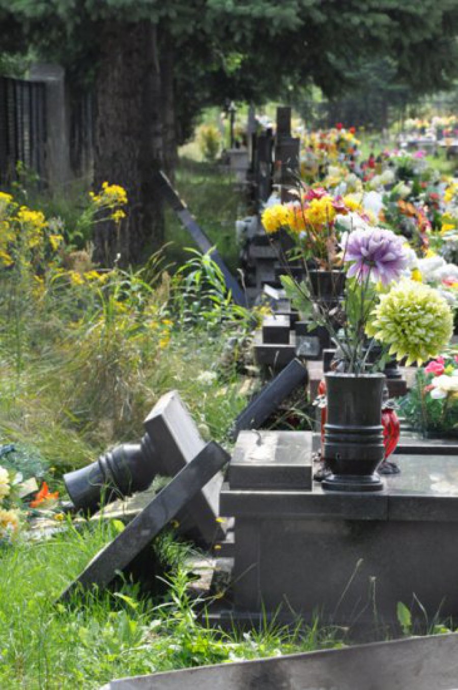 ZAGÓRZE. Mieszkańcy wstrząśnięci po dewastacji na cmentarzu