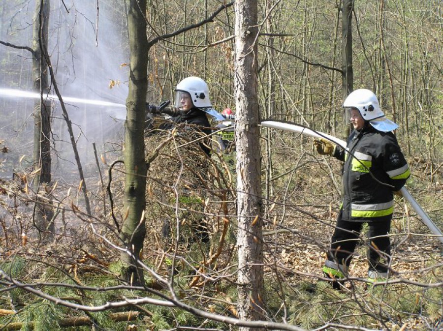 Ćwiczenia strażaków i leśników 