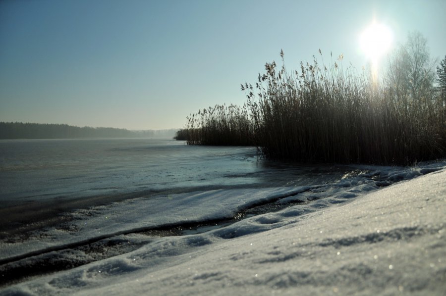 Zimowy spacer - złote godziny do fotografowania