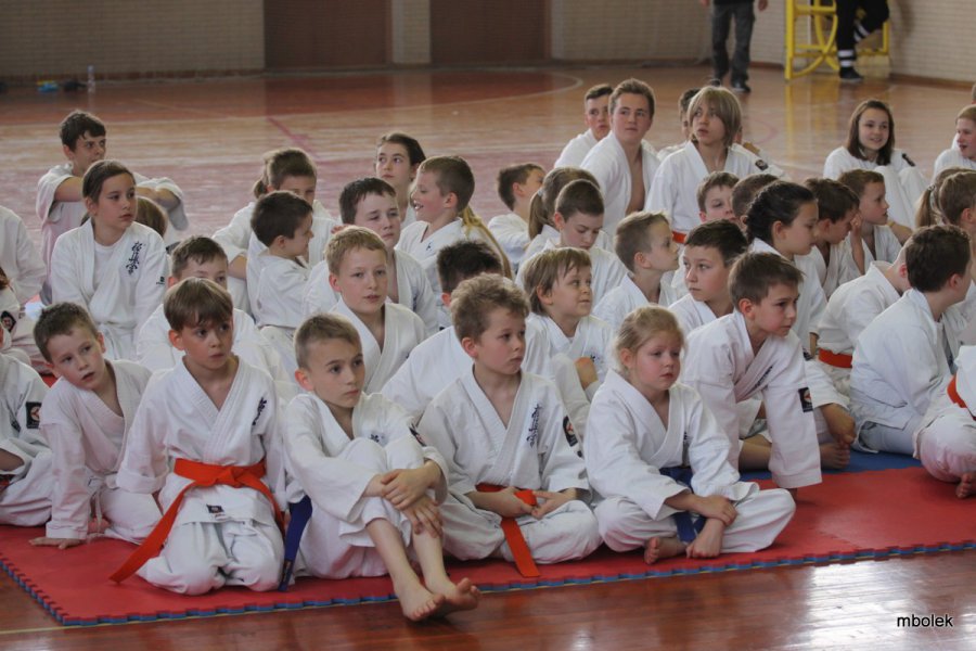 Turniej Karate Kyokushin