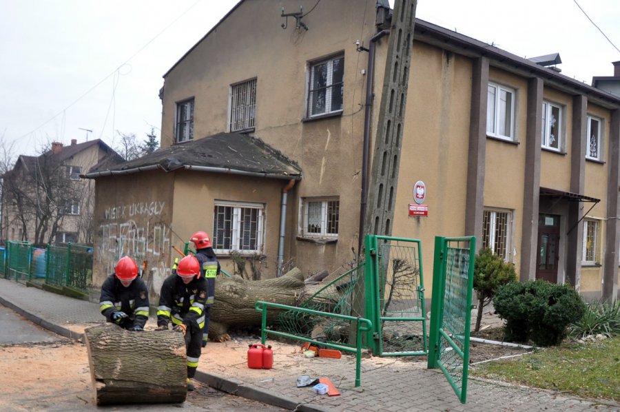 Potężne drzewo spadło na drogę i przedszkole w Kościelcu