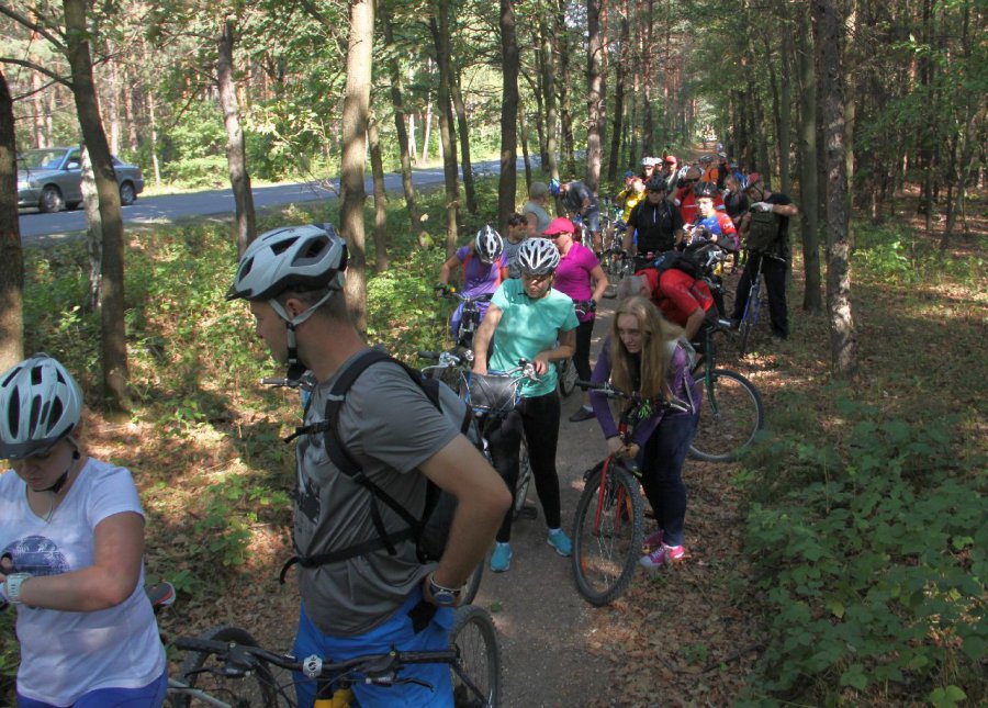 W lesie między Chrzanowem i Libiążem powinna powstać ścieżka rowerowa