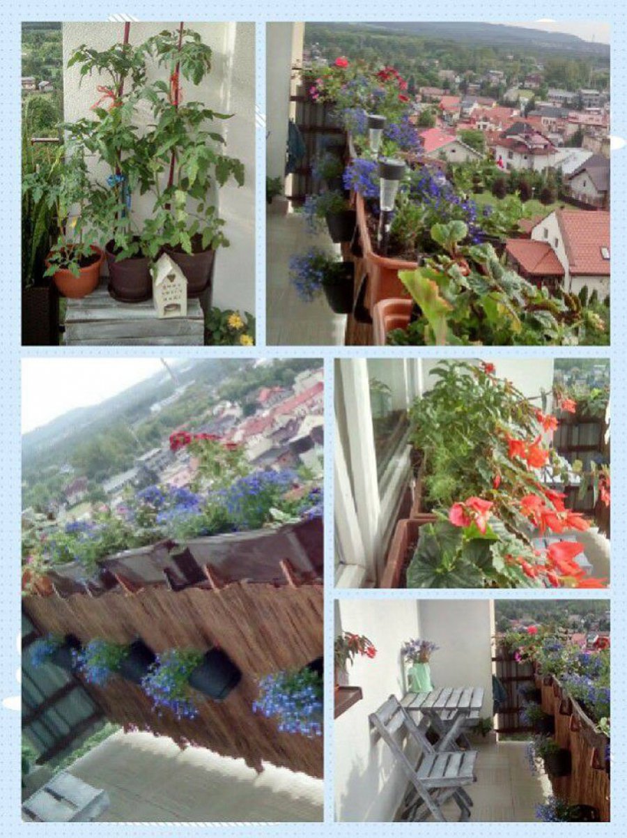 Ogród na balkonie