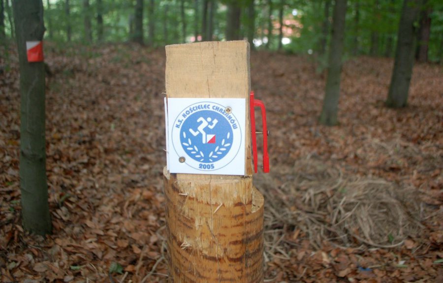 Wydrukuj mapę i szukaj w lesie punktów (WIDEO) 