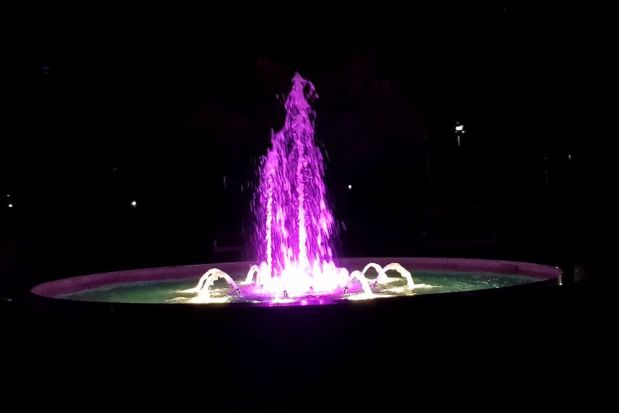Fontanna w chrzanowskim parku pięknie prezentuje się po zmroku