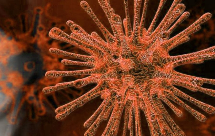 Koronawirus. Pięć nowych zakażeń i gwałtowny wzrost liczby osób w kwarantannie (RAPORT