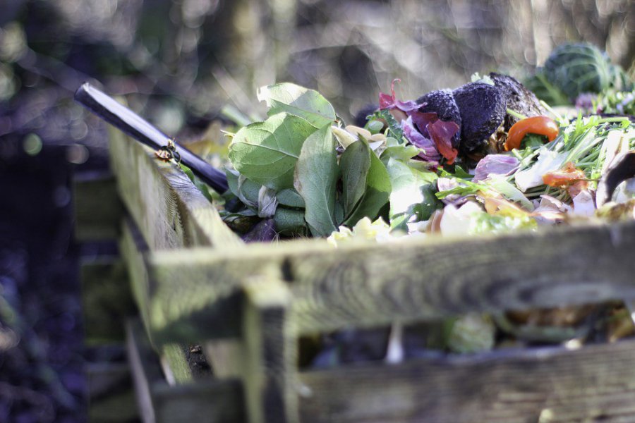 Kompostownik, czyli recykling we własnym ogródku
