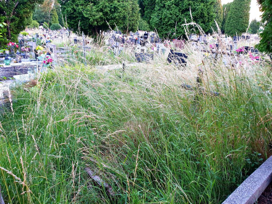 Cmentarz w Chrzanowie zarasta trawą