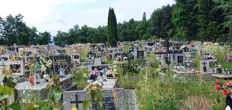Cmentarz w Krystynowie zarósł trawą. Kogo to obchodzi?