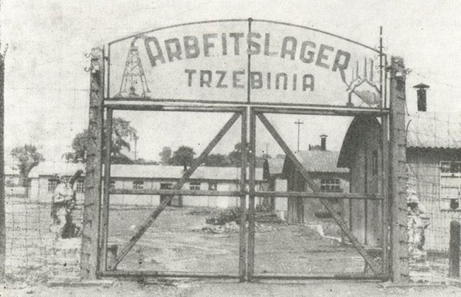 Arbeitslager Trzebinia - więźniowie, głównie Żydzi z Węgier i Polski, pracowali przy rozbudowie rafinerii