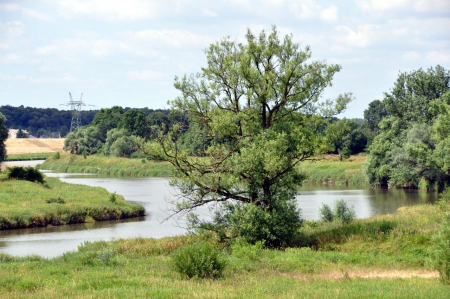 Wody Polskie organizują spotkanie w sprawie polderu przeciwpowodziowego w gminie Babice