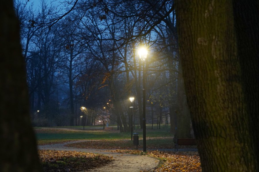 Jak wygląda wieczorem zrewitalizowany dawny park pałacowy w chrzanowskim Kościelcu (ZDJĘCIA)