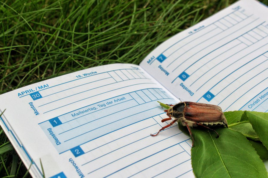Kalendarz biodynamiczny - jak stosować w ogrodzie i dlaczego warto?