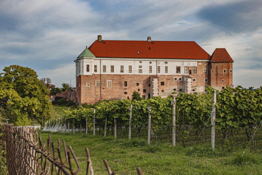 Zamek w Sandomierzu i stare miasto