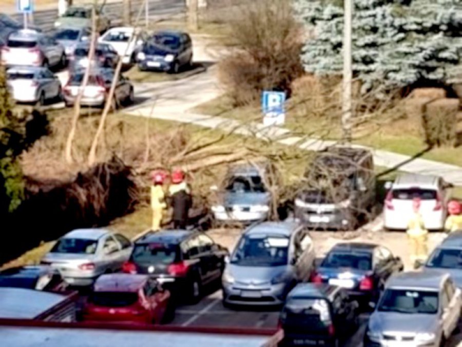 W Chrzanowie drzewo spadło na dwa samochody