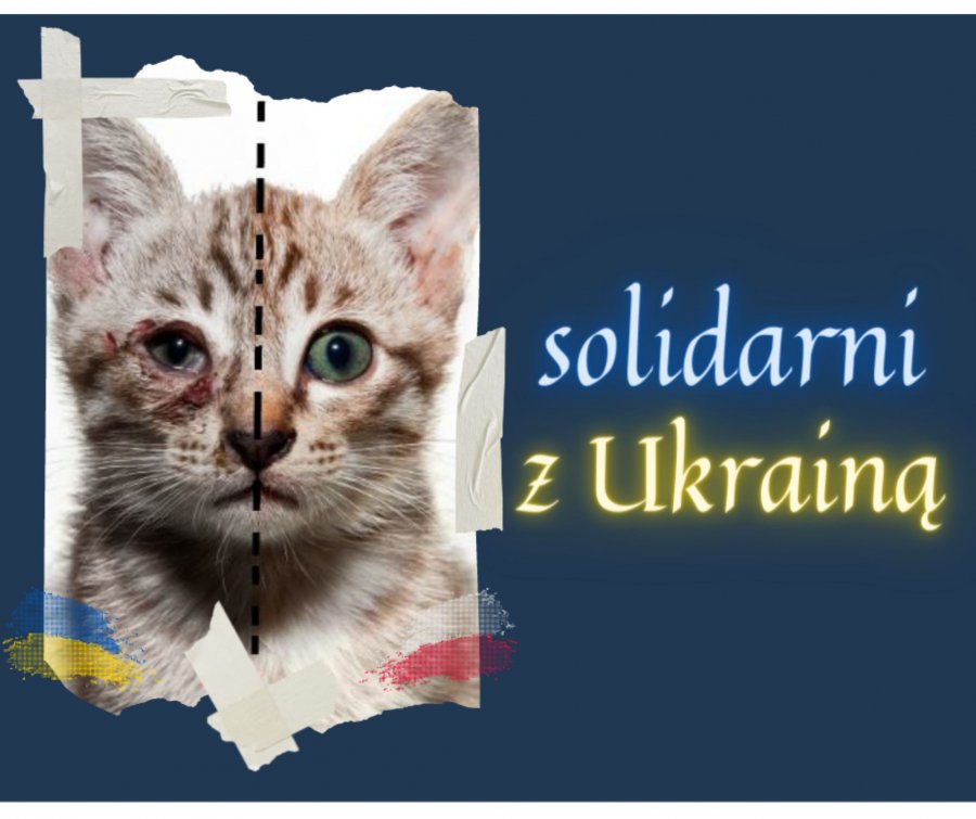 Mieszkańcy Chrzanowa pojadą na Ukrainę ratować zwierzęta. Część z nich trafi do Polski