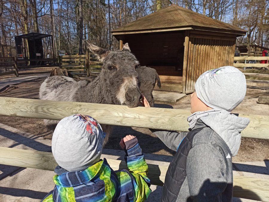 Uchodźcy z Ukrainy zwiedzają zoo za 1 zł
