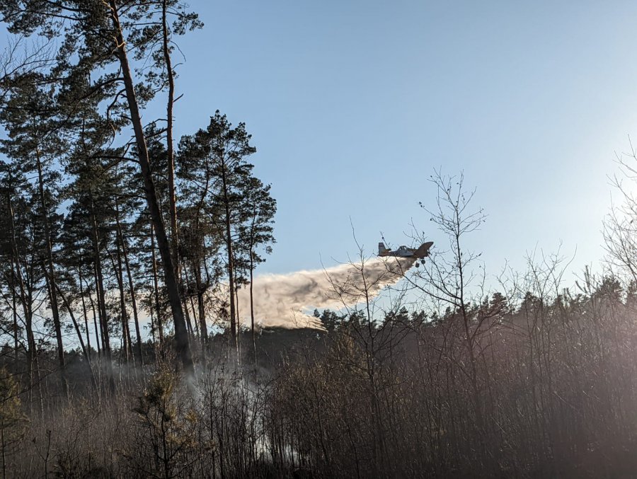 16 hektarów lasu w ogniu. W akcji gaśniczej brało udział 71 strażaków