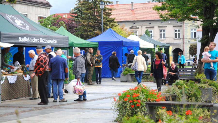 Święto Miodu w Krzeszowicach w deszczowym klimacie (ZDJĘCIA) 