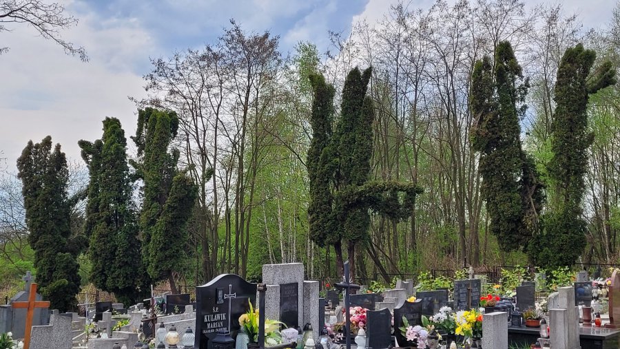 Cmentarze kosztują gminę Trzebinia blisko milion złotych rocznie
