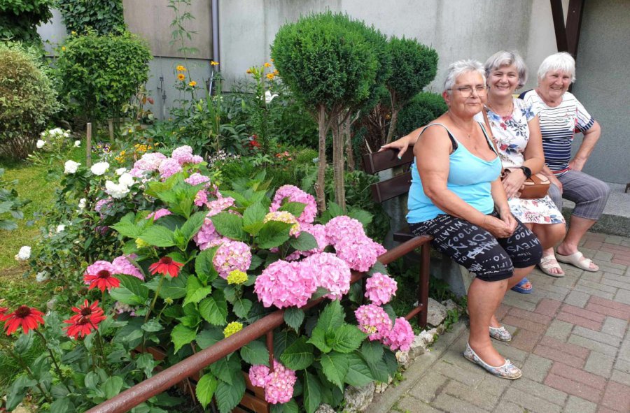 Sąsiadki z osiedla Widokowego i ich kwiaty